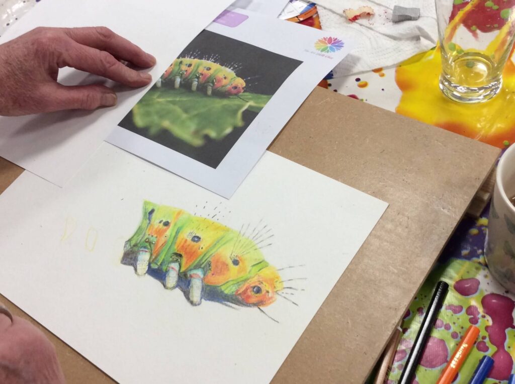 Art Classes Lichfield caterpillar colour drawing on desk