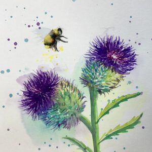 Thistle and Bee in watercolour - Thurs 12th or Fri 13th June
