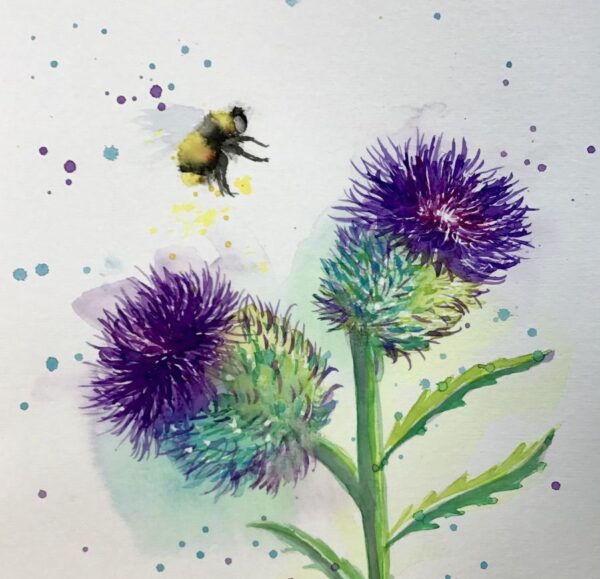 Thistle and Bee in watercolour - Thurs 12th or Fri 13th June