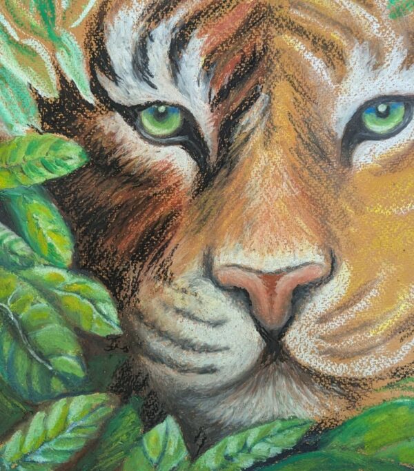 Tiger in oil pastels - Thurs 5th or Fri 6th June
