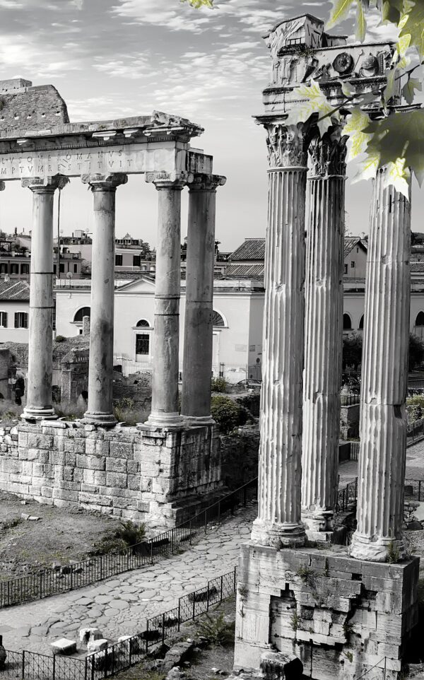 The Roman Forum - Thurs 4th or Fri 5th September - Image 2
