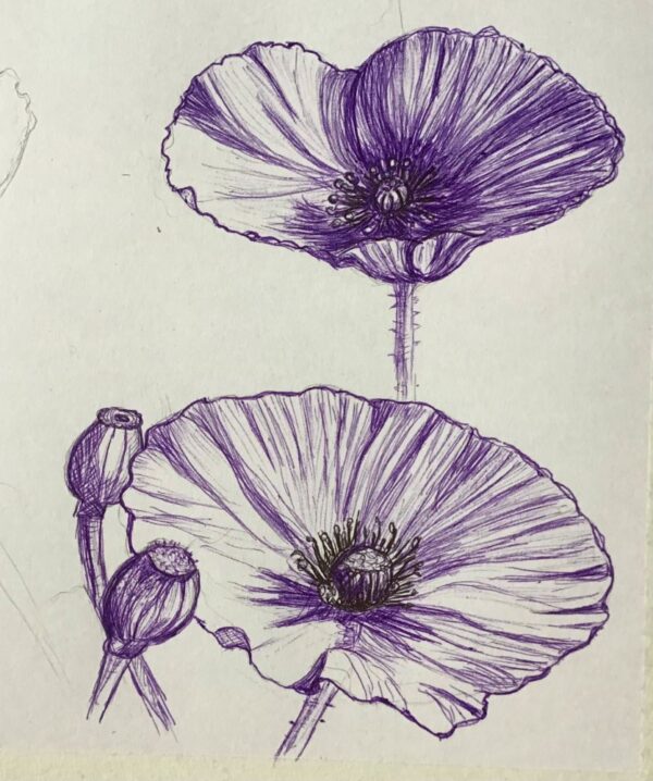 12-week All Ability Course - January 2026 - £345 - Image 6