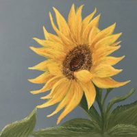 Art Classes Lichfield colour sunflower artwork