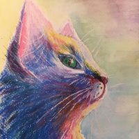 Art Classes Lichfield cat coloured pencil drawing