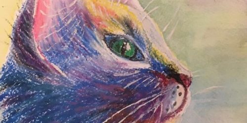 Art Classes Lichfield cat coloured pencil drawing