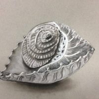 Art Classes Lichfield sea shell artwork with spirals