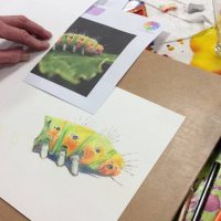 Art Classes Lichfield caterpillar colour drawing on desk