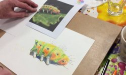 Art Classes Lichfield caterpillar colour drawing on desk