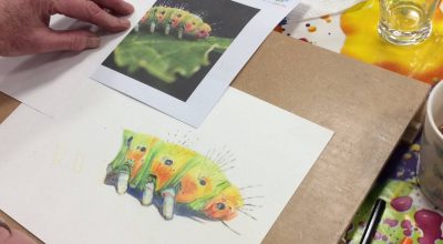 Art Classes Lichfield caterpillar colour drawing on desk