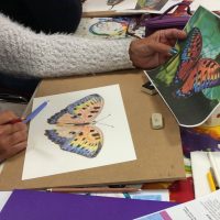 Art Classes Lichfield butterfly colour drawing