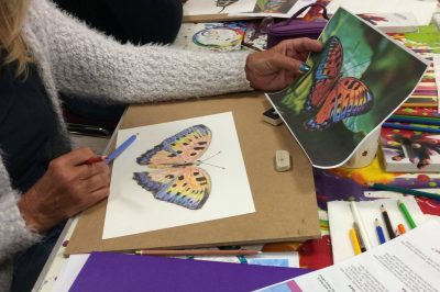 Art Classes Lichfield butterfly colour drawing