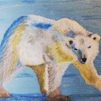 Art Classes Lichfield colour drawing of polar bear