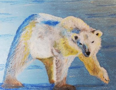 Art Classes Lichfield colour drawing of polar bear